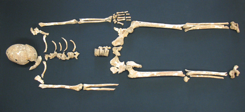 Illustration for article titled Scientists say the Black Death 'could happen again'